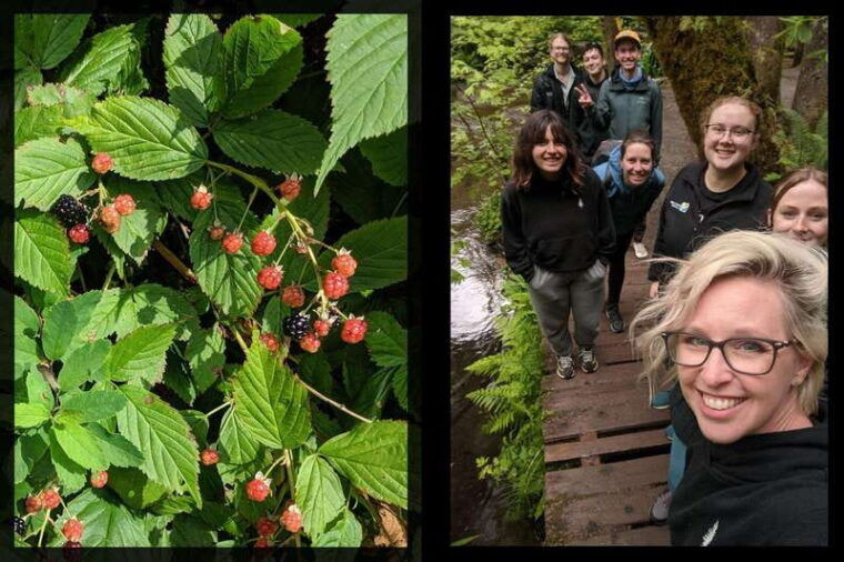 whistler-walking-tour-of-a-coastal-rainforest