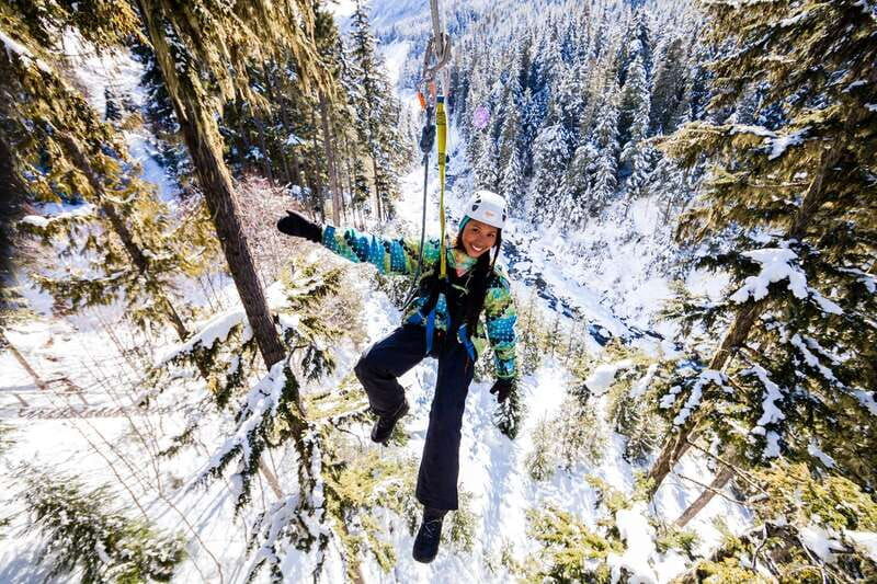 whistler-zipline-experience-ziptrek-bear-tour