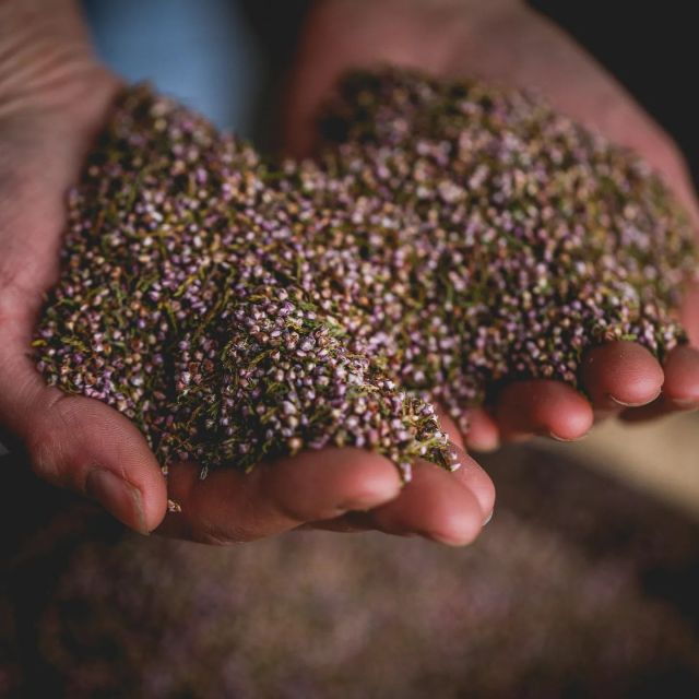 whitby-guided-distillery-tour-with-gin-tasting
