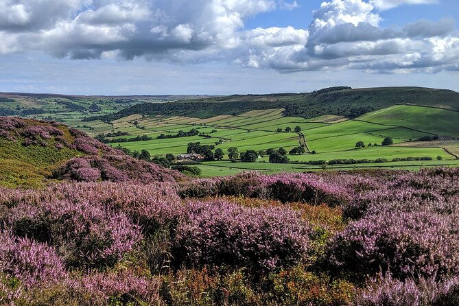 whitby-robin-hoods-bay-and-the-moors-from-york-2