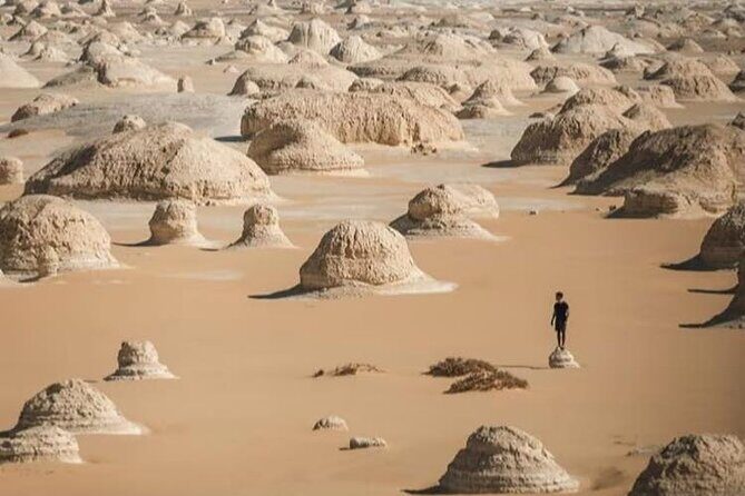 "White & Black Desert Safari  1 Night, 2 Days of Exploration" - Authentic Experiences from Travelers