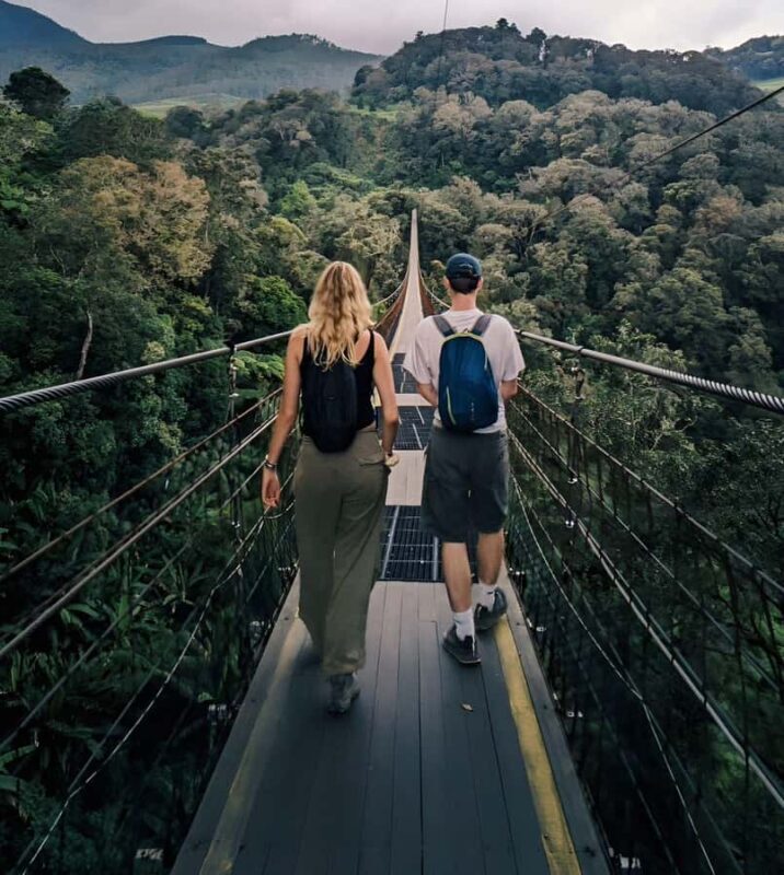 White Crater, Tea Field, Suspension Bridge & Hot Spring Tour - Key Points