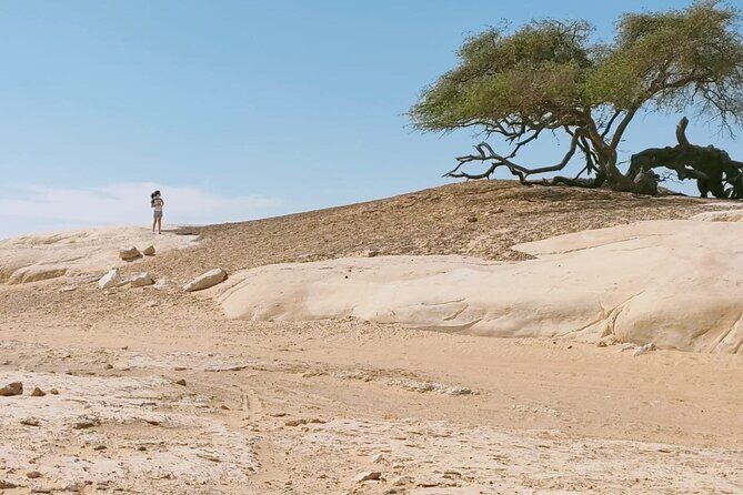 White Desert and Bahariya Oasis 2 Days Tour from Cairo - FAQ