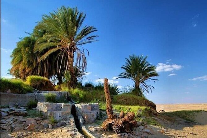 White Desert Awaits Ultimate Safari Adventure - Final Thoughts