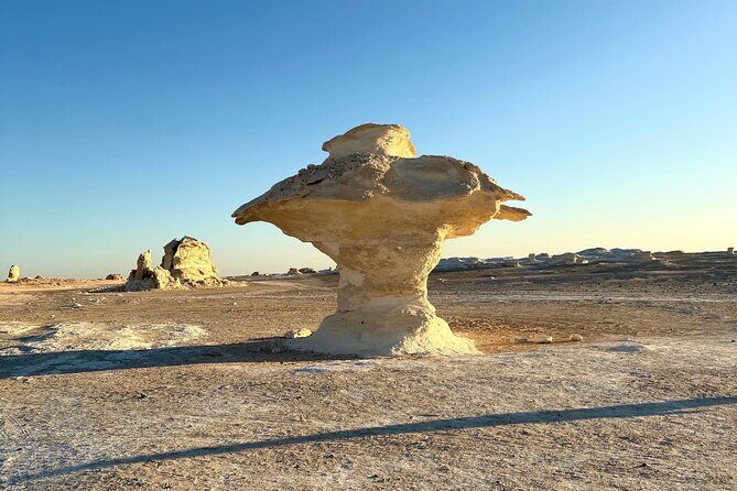 White Desert Awaits Ultimate Safari Adventure - FAQ