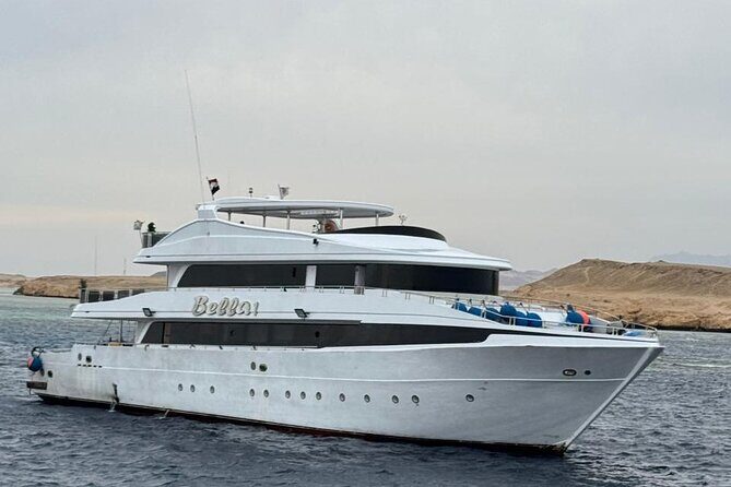 White Island & Ras Mohamed Boat Trip & Diving , lunch from Sharm - An In-Depth Look at the Trip Experience