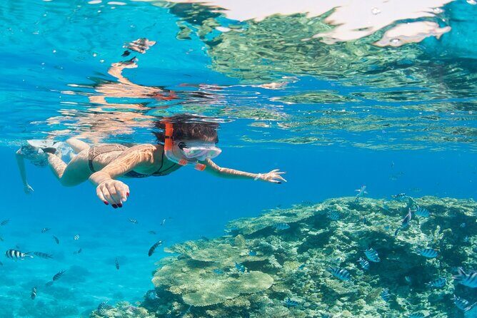 White Island & Ras Mohamed: Full-Day Snorkeling Adventure - Practical Tips for Booking and Preparing