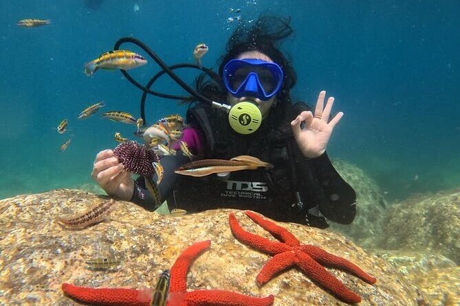 White Island & Ras Mohamed Full day with Lunch in Sharm El Sheikh - The Overview: What You Can Expect