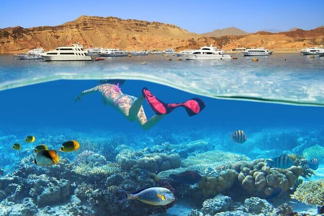 White Island & Ras Mohammed: Full-Day Sea Adventure - FAQ