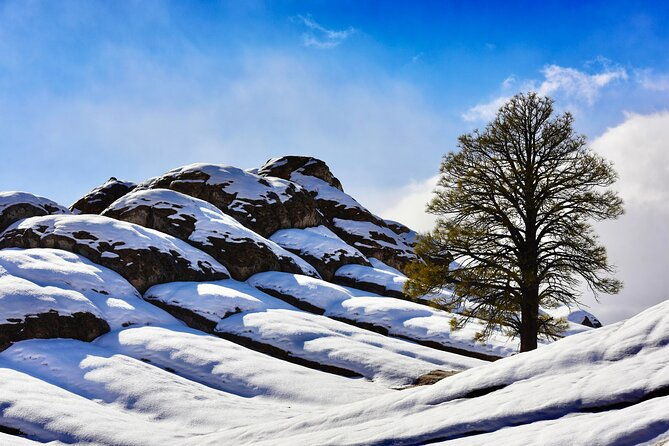 white-pocket-adventure