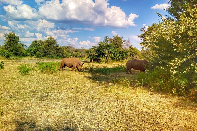 White Rhino Walk in the Mosi oa Tunya - The Sum Up