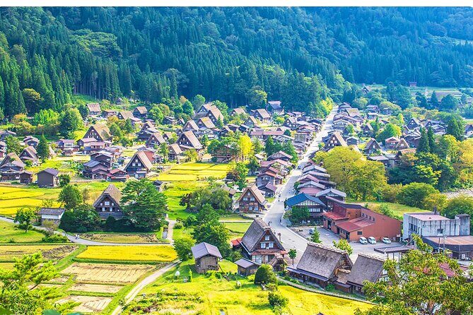 White Road Shirakawago Observatory Tour Package - Key Points
