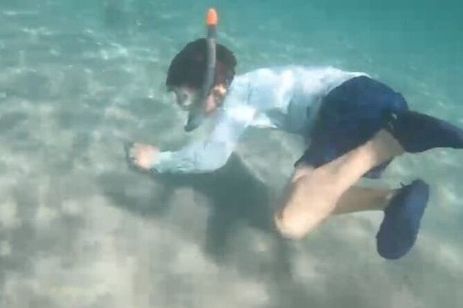 white-sand-beach-jaco-snorkel-adventure-with-monkey-tour