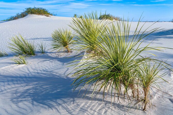 white-sands-national-park-self-guided-driving-walking-tour