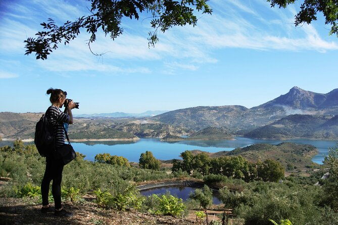 white-villages-and-ronda-day-tour-from-seville