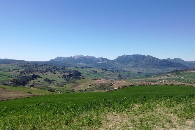 White Villages and Ronda Day Trip from Seville - Who Is This Tour Perfect For?