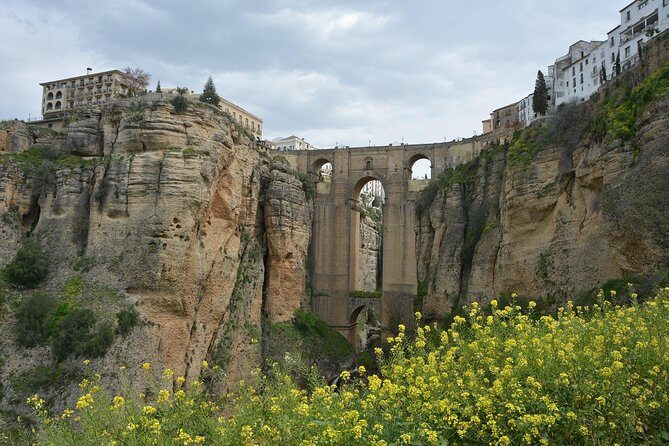 White Villages and Ronda Day Trip from Seville - The Experience: Pros and Cons