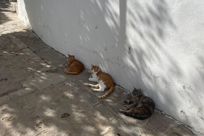 white-villages-from-seville-arches-medina-sidonia-and-vejer