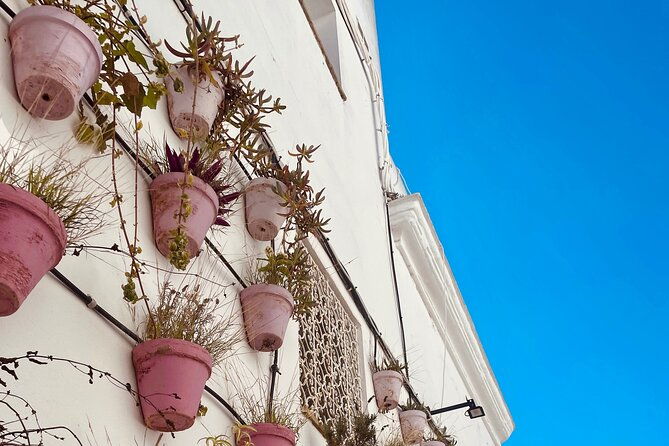 white-villages-from-seville-arches-medina-sidonia-and-vejer
