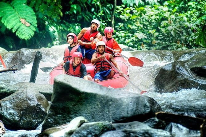 White Water Rafting with Ubud Tour - Who is This Tour Best For?