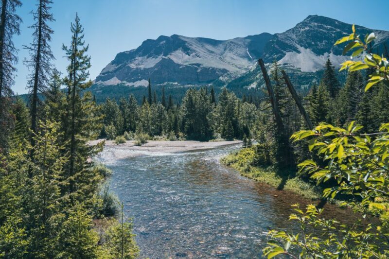 Whitefish: Private East Glacier & Two Medicine Driving Tour - Why This Tour Adds Value