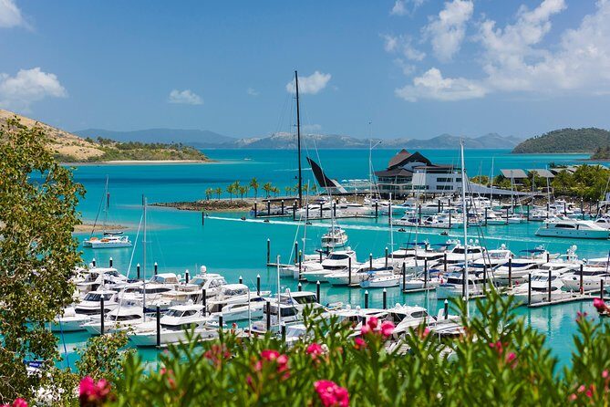 Whitehaven Beach and Hamilton Island Cruise from Airlie Beach - Weather and Sea Conditions