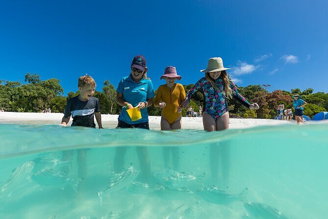 Whitehaven Beach and Hamilton Island Cruise from Airlie Beach - Who Should Book This Tour?