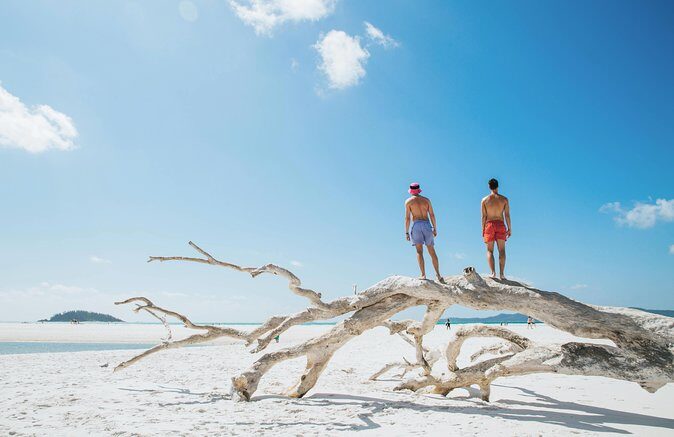 Whitehaven Beach and Hill Inlet Day Trip: Chill and Grill - Who Will Love This Tour?