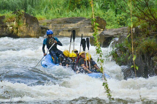 Whitewater Rafting Adventure on the Kelani River in Kitulgala - Introduction to the Kelani River Whitewater Experience