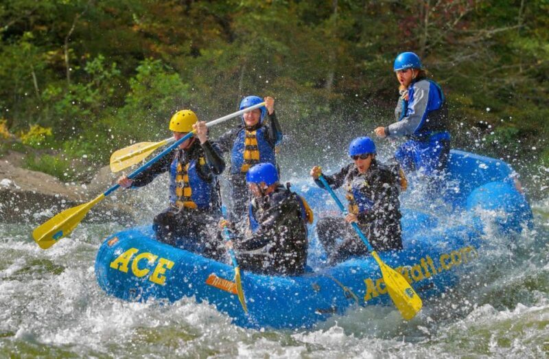 Whitewater Rafting on the Fall Lower Gauley - Saturday - Authentic Experience & Guides