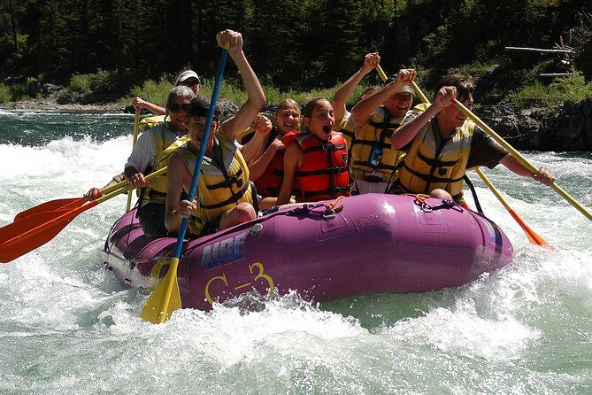 Whitewater Rafting Small Boat Adventure Snake River Jackson Hole - Who Should Consider This Tour?