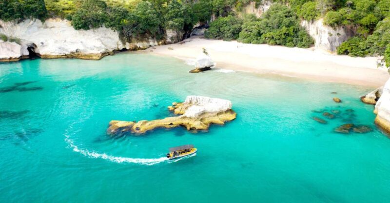 Whitianga: 2-Hour Cathedral Cove and Volcanic Coast Cruise - Key Points