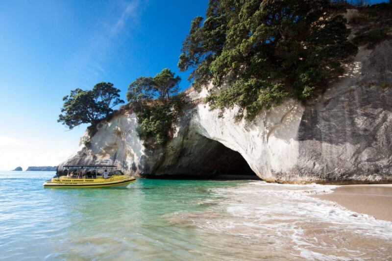 Whitianga: 2-Hour Cathedral Cove and Volcanic Coast Cruise - Exploring Mercury Bay’s Coastline