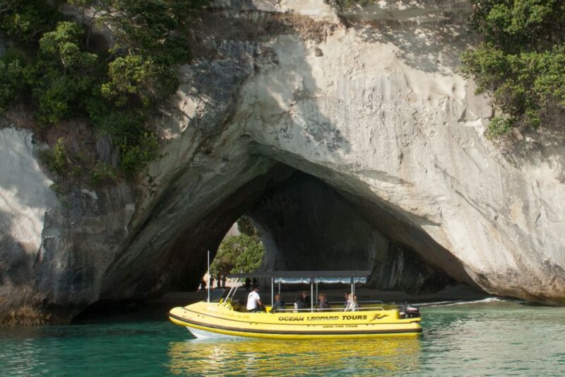 Whitianga: 2-Hour Cathedral Cove and Volcanic Coast Cruise - The Cruise Experience