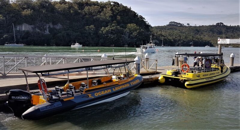 Whitianga: 2-Hour Cathedral Cove and Volcanic Coast Cruise - Practical Details and Tips