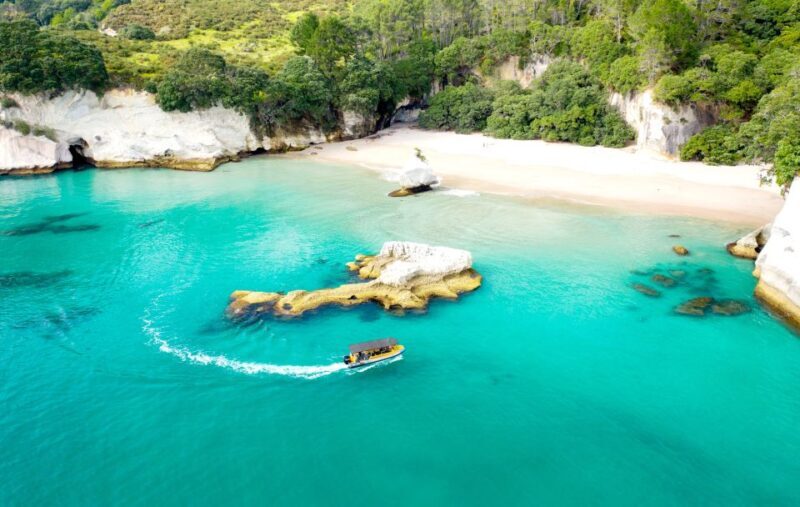 Whitianga: 2-Hour Cathedral Cove and Volcanic Coast Cruise - What Reviewers Say