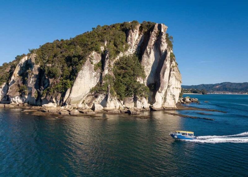 Whitianga: 2-Hour Glass Bottom Boat Cathedral Cove Tour - Key Points