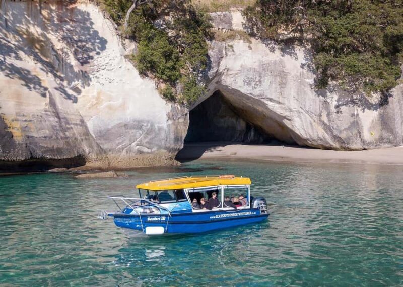 Whitianga: 2-Hour Glass Bottom Boat Cathedral Cove Tour - Practical Information and Tips