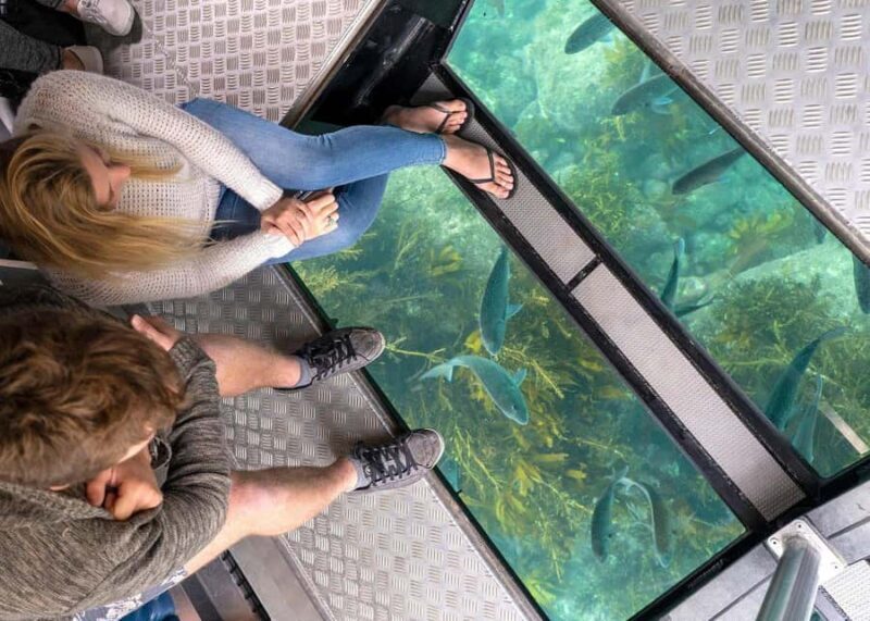 Whitianga: 2-Hour Glass Bottom Boat Cathedral Cove Tour - Authentic Experiences from Traveler Reviews