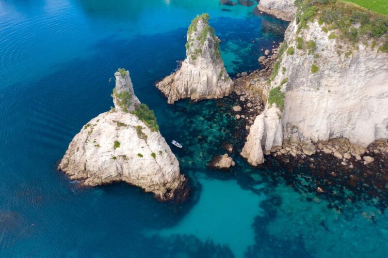 Whitianga: Cathedral Cove Thrilling Boat Tour and Snorkeling - Who Will Love This Tour?