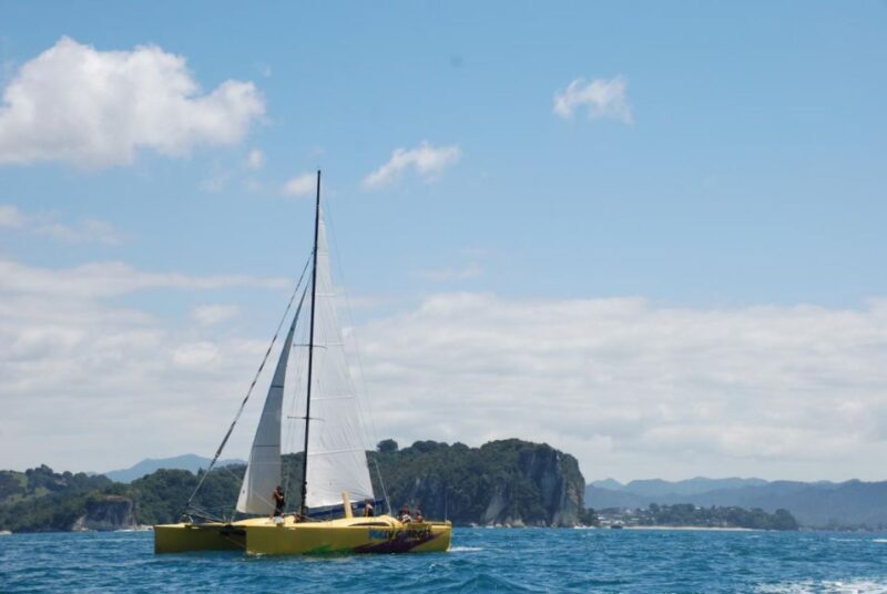 Whitianga: Sailing Trip to Cathedral Cove - Why You’ll Love the Whitianga Sailing Trip