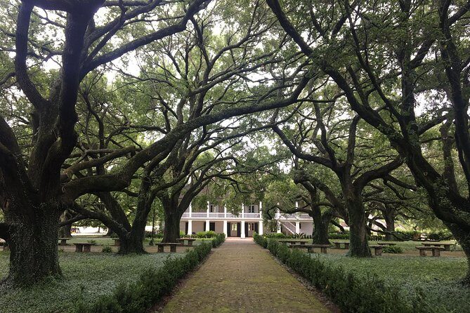 Whitney Plantation and Airboat Tour from New Orleans - Who Will Love This Tour?