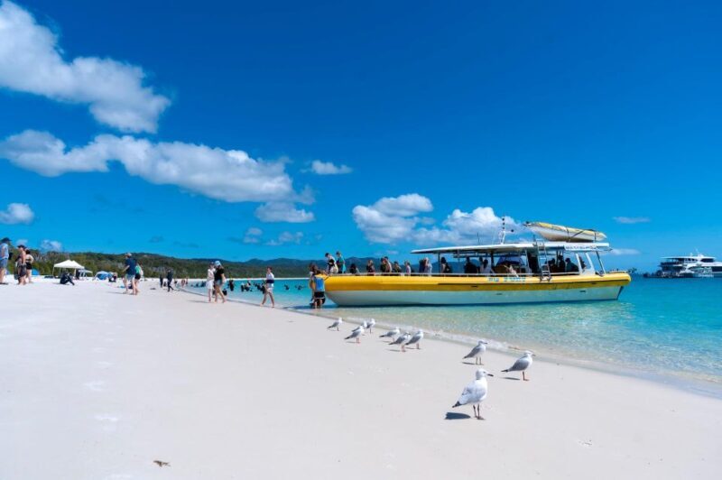 Whitsunday: Whitsunday Islands Tour with Snorkeling & Lunch - Things to Consider