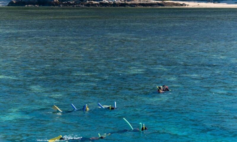 Whitsunday: Whitsunday Islands Tour with Snorkeling & Lunch - FAQ
