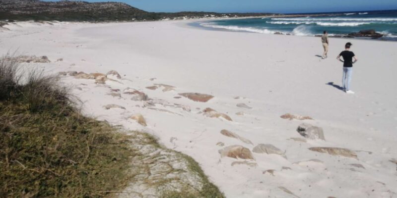 Whole day Cape point Tour-13 point of interest in one day - Who Should Consider This Tour?  