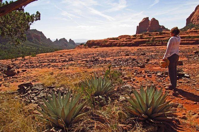 whole-day-sedona-vortex-experience