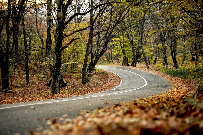 whole-day-wine-tour-to-kakheti-from-tbilisi