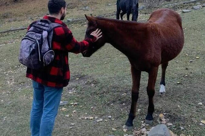 whole-day-wine-tour-to-kakheti-from-tbilisi