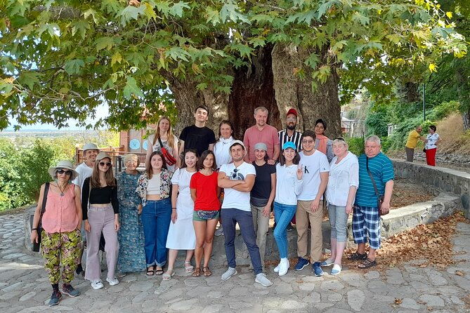 whole-day-wine-tour-to-kakheti-from-tbilisi