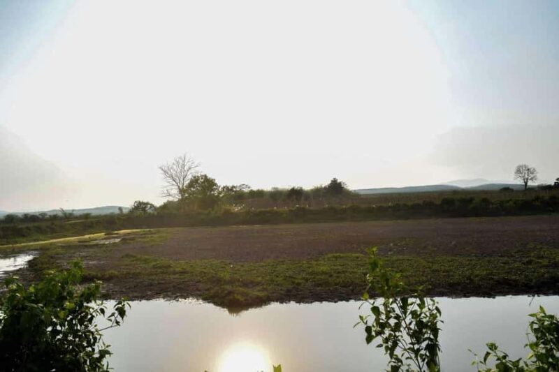 Wiang Nong Lom: Lanna Culture & Crafts Day Trip - Key Points